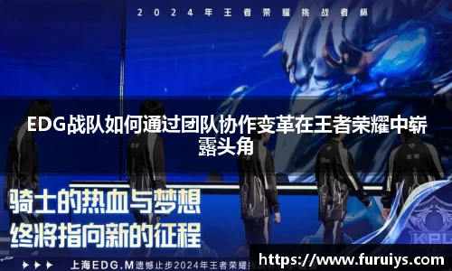 EDG战队如何通过团队协作变革在王者荣耀中崭露头角